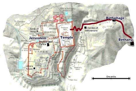 jerusalém para betânia